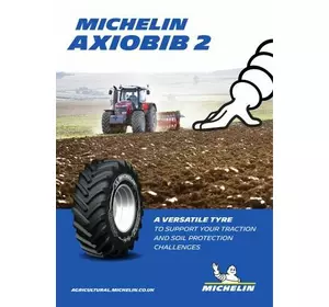 Шина VF 650/60R34 168D/165E MICHELIN AXIOBIB 2 TL Шина VF 650/60R34 168D/165E MICHELIN AXIOBIB 2 TL
